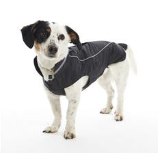 BUSTER Raincoat - Blackberry