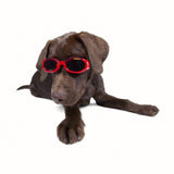 Doggles ILS Dog Protective Eyewear