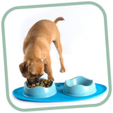 dog eating out of blue dog bowl on blue mat 
