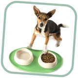 dog eating out of green  dog bowl on green  mat 