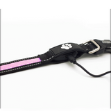 Energizer LED Dog Collar USB - Pink Blaze