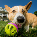 Wapple Ball Dog Chew Toy