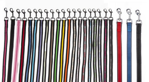 various colored Mesh Matching Leashes