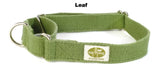green dog collar 