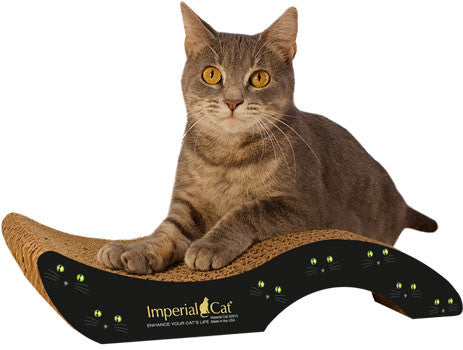 Purr-fect Stretch, Small, Cat Eyes