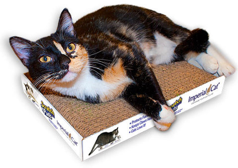 Imperial cat scratcher top