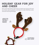 Holiday Bell Collar and Antler Combo Pack