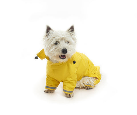 BUSTER Aqua Raincoat Yellow