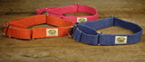 orange, blue and pink dog collars 