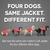 Loft Dog Jacket - Reversible - Blue Orange