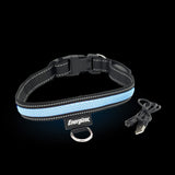 Energizer LED Dog Collar USB - Blue Blaze