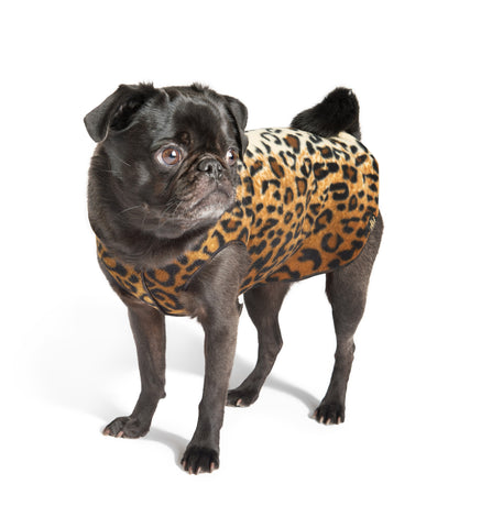 Fleece Lightweight Stretchy Jacket - Leopard Print