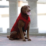 Loft Dog Jacket - Reversible - Red Grey