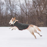 Loft Dog Jacket - Reversible - Red Grey