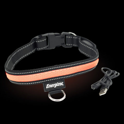 Energizer LED Dog Collar USB - Orange Blaze