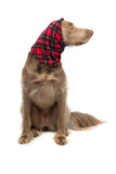 Snood Neck Warmer - Red Tartan/Black