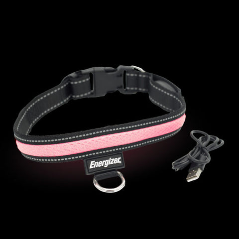 Energizer LED Dog Collar USB - Pink Blaze