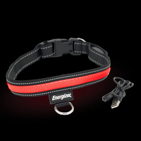 Energizer LED Dog Collar USB - Red Blaze