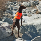 Reflective Dog Cooling Vest - Orange