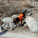 Reflective Dog Cooling Vest - Orange
