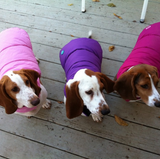 Puffer Dog Coat - Reversible Hot Pink/Light Pink