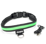 Energizer LED Dog Collar USB - Green Blaze