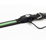 Energizer LED Dog Collar USB - Green Blaze