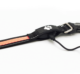 Energizer LED Dog Collar USB - Orange Blaze