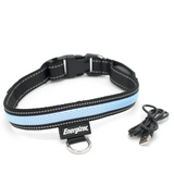 Energizer LED Dog Collar USB - Blue Blaze