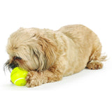 Tennis Ball Treat Dispensing Toy