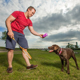 man playing with green and purple pet toy  with brown dog 