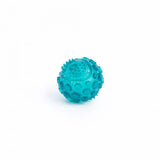 ZippyTuff Squeaker Ball - Large