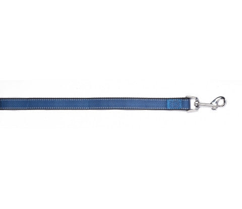 Blue Reflective Trim Leash