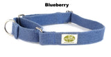 blue dog collar 