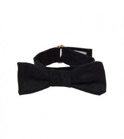 Doggie Bow Tie - Classic Black