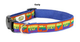 rainbow colored dog collar 