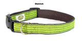 neon yellow dog collar 