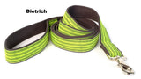 neon yellow dog leash 