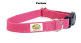 hot pink small dog collar 