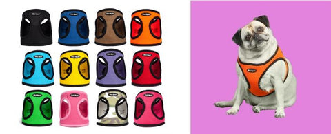 various color Mesh animal Harness