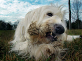Earthdog Hemp Rope Toys