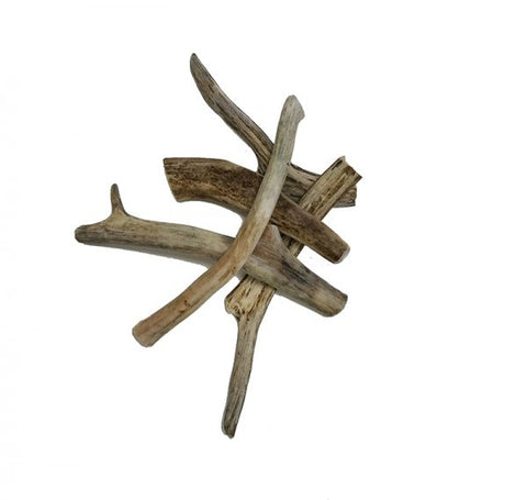 Antler Chew - Medium