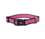 Rasberry Reflective Trim Collar