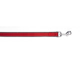 Red Reflective Trim Leash