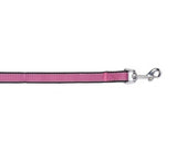 Rasberry Reflective Trim Leash