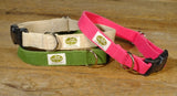 white, hot pink and green small dog collar