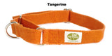 orange dog collar 