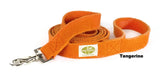 orange dog leash 
