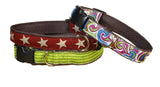 various color dog collars 