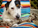 Earthdog Hemp Rope Toys